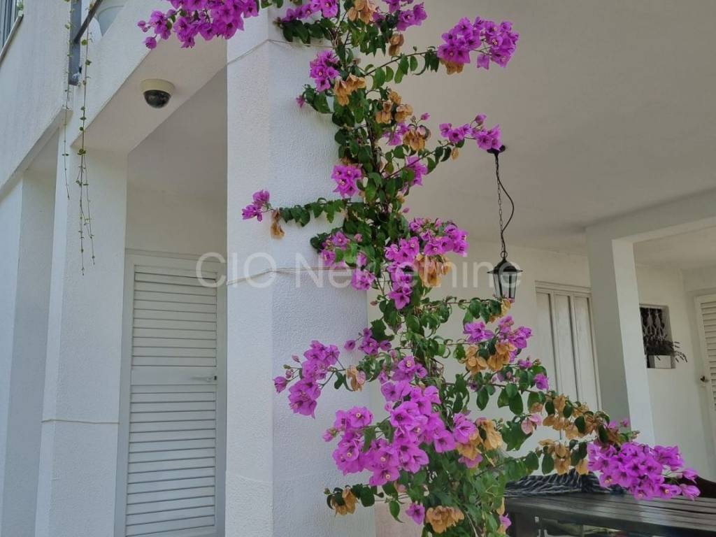 Detached house, Sale, Podstrana, Podstrana