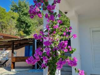 Samostojeca kuca, Prodaja, Podstrana, Podstrana