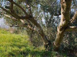 Samostojeca kuca, Prodaja, Podstrana, Podstrana