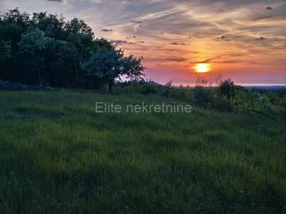 Plot for residential construction, Sale, Buje, Buje