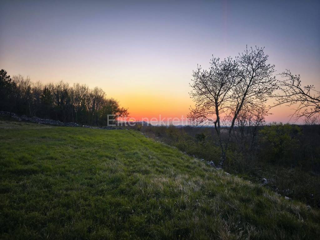 Plot for residential construction, Sale, Buje, Buje