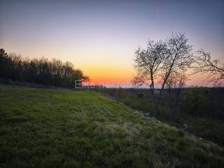 Plot for residential construction, Sale, Buje, Buje