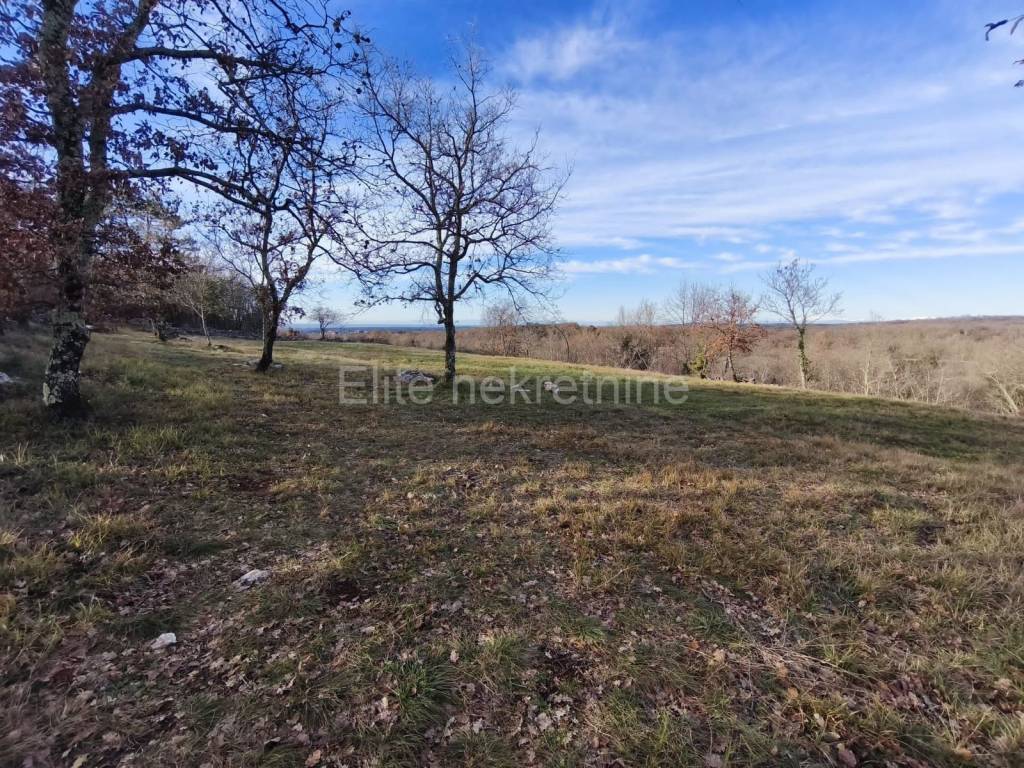 Plot for residential construction, Sale, Buje, Buje