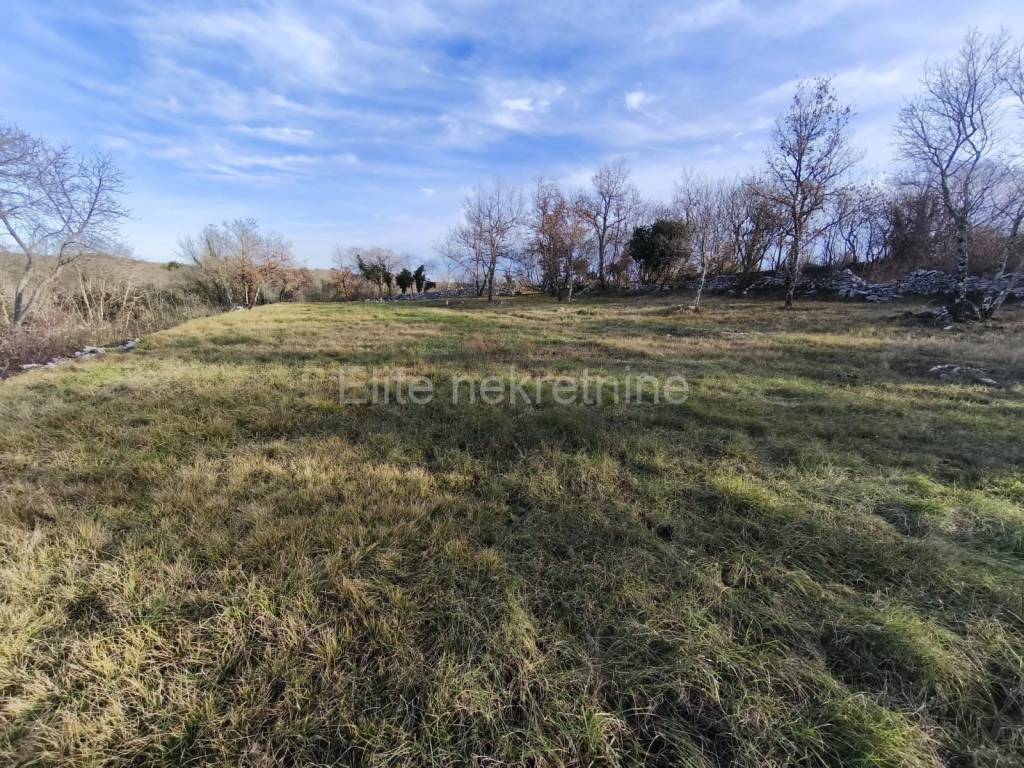 Plot for residential construction, Sale, Buje, Buje