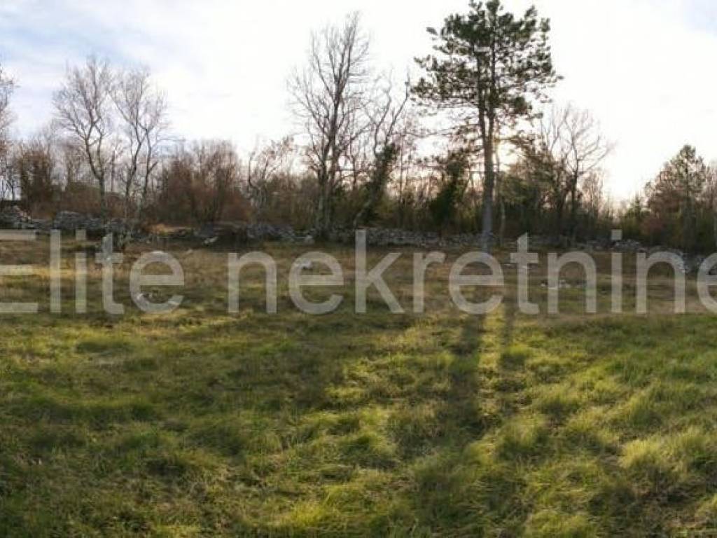Plot for residential construction, Sale, Buje, Buje