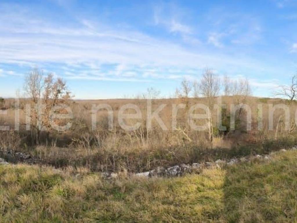 Plot for residential construction, Sale, Buje, Buje