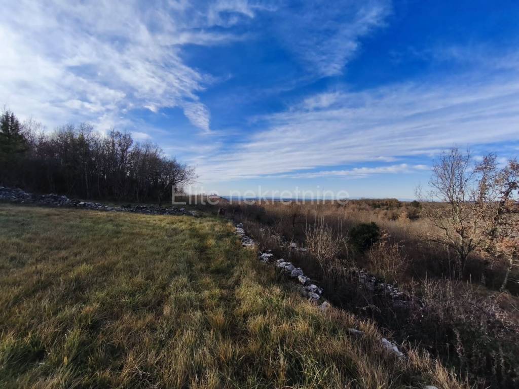 Plot for residential construction, Sale, Buje, Buje
