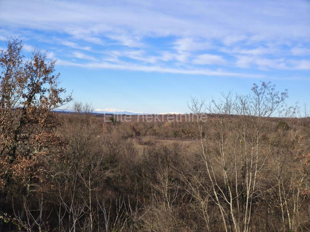 Plot for residential construction, Sale, Buje, Buje