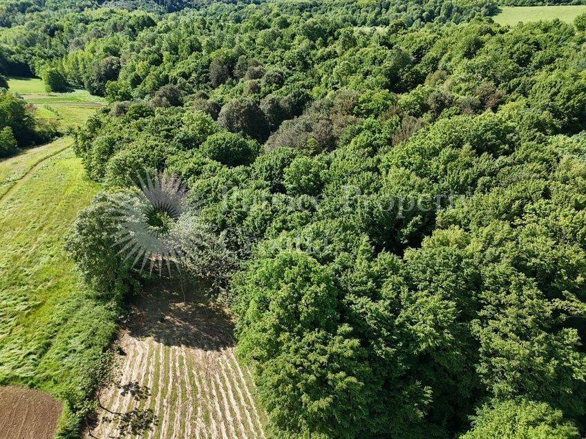 Agricultural plot, Sale, Karlovac - Okolica, Vukmanić