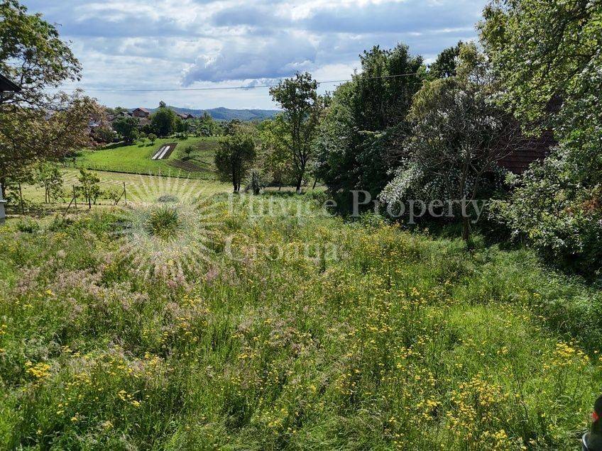 Agricultural plot, Sale, Karlovac - Okolica, Vukmanić