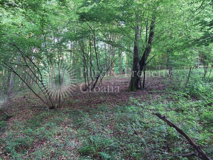 Agricultural plot, Sale, Karlovac - Okolica, Vukmanić