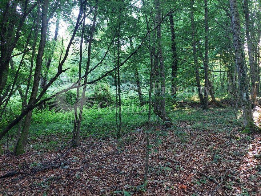 Agricultural plot, Sale, Karlovac - Okolica, Vukmanić