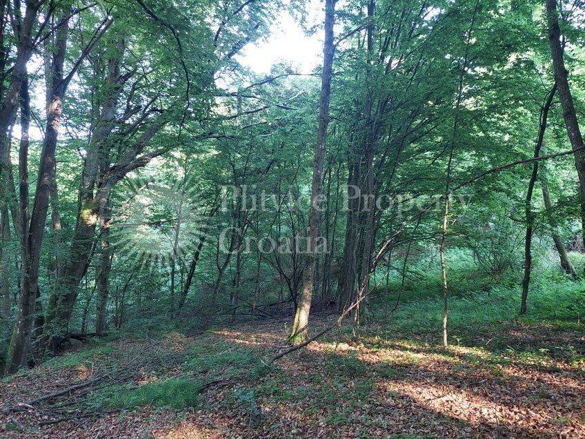 Agricultural plot, Sale, Karlovac - Okolica, Vukmanić