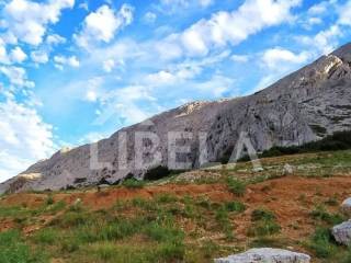 Poljoprivredno zemljište, Prodaja, Pag, Dinjiška