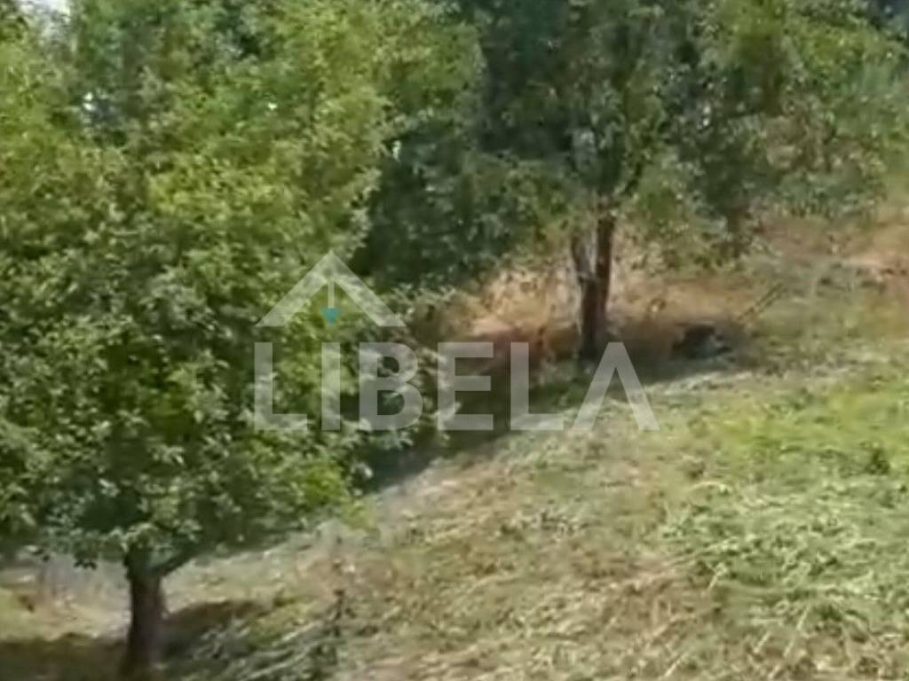 Poljoprivredno zemljište, Prodaja, Tuhelj, Tuheljske Toplice
