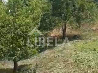Poljoprivredno zemljište, Prodaja, Tuhelj, Tuheljske Toplice