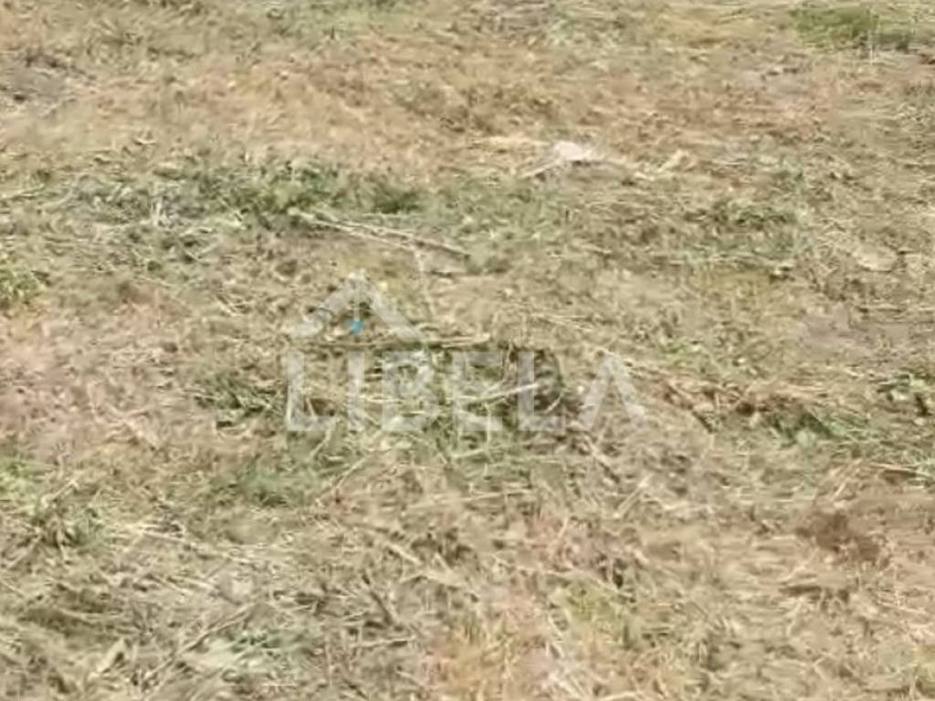 Poljoprivredno zemljište, Prodaja, Tuhelj, Tuheljske Toplice