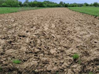 Agricultural plot, Sale, Lekenik, Žažina