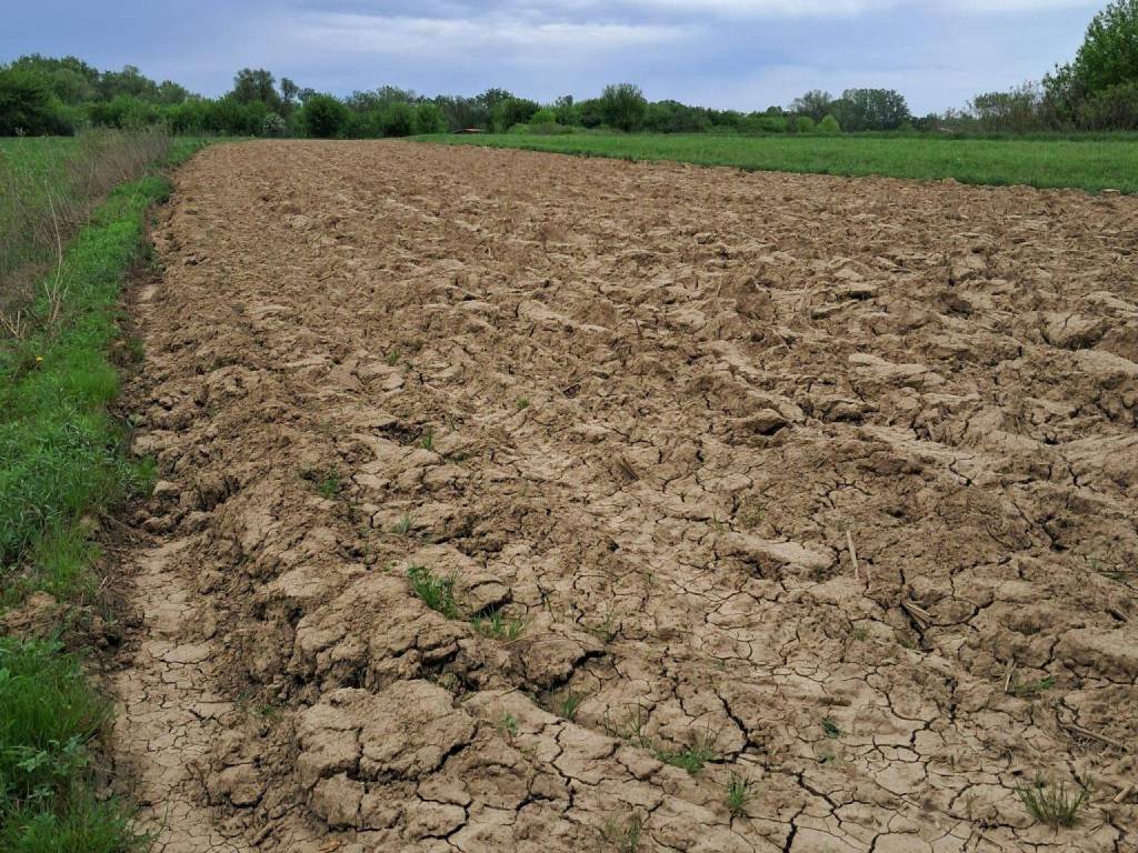 Agricultural plot, Sale, Lekenik, Žažina