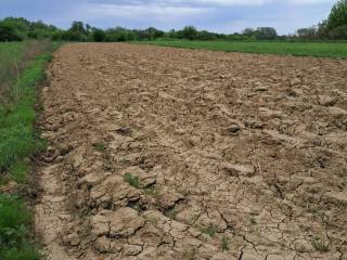 Agricultural plot, Sale, Lekenik, Žažina