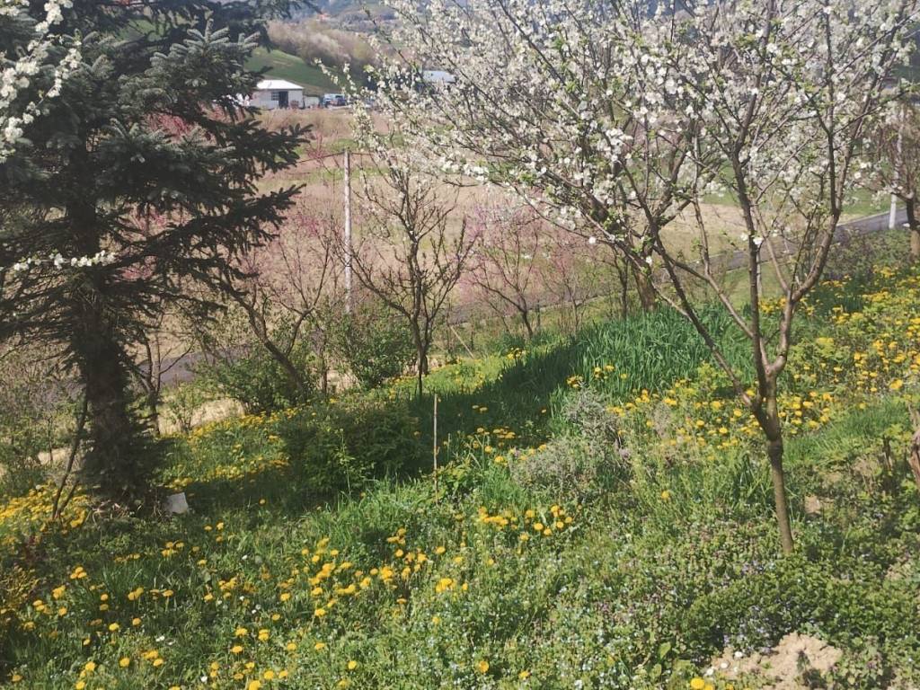 Plot for construction, Sale, Sveti Ivan Zelina, Sveti Ivan Zelina