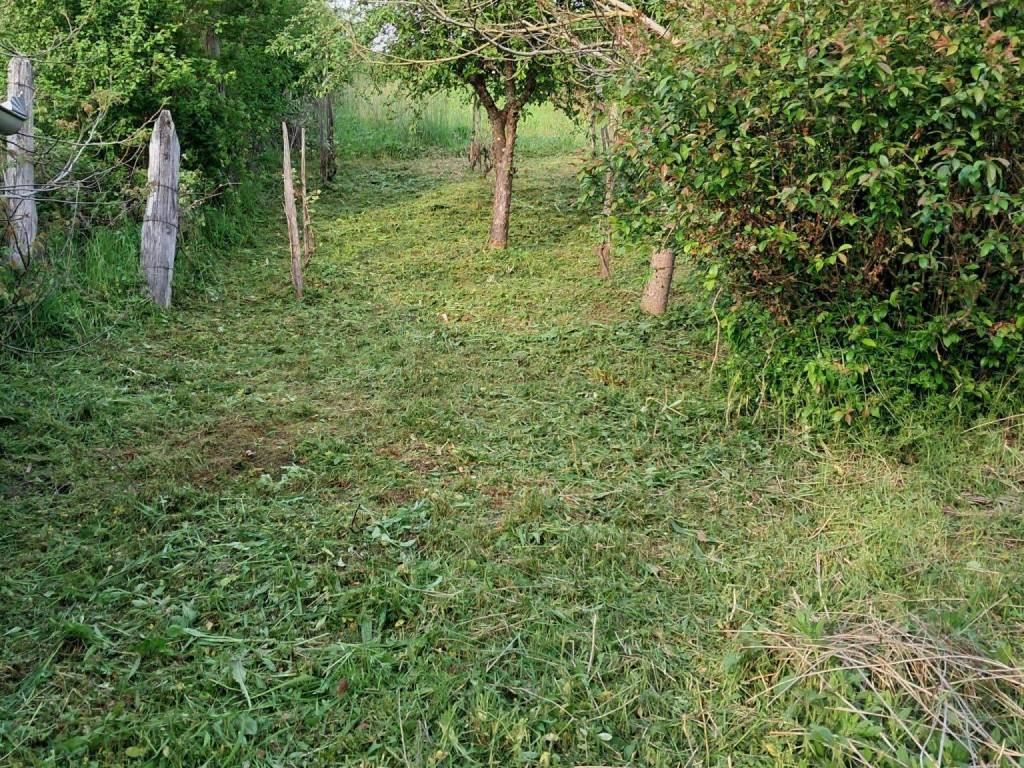 Agricultural plot, Sale, Lekenik, Žažina