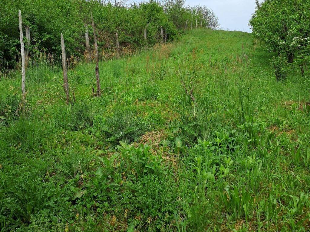 Agricultural plot, Sale, Lekenik, Žažina