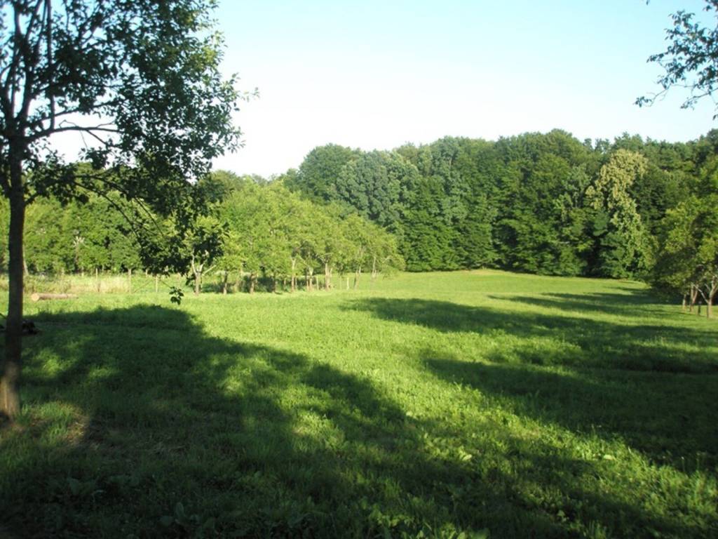 Detached house, Sale, Sunja, Donji Hrastovac