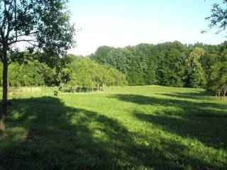 Detached house, Sale, Sunja, Donji Hrastovac