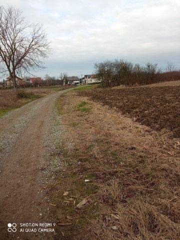 Agricultural plot, Sale, Velika Gorica - Okolica, Velika Mlaka