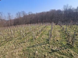 Samostojeca kuca, Prodaja, Lekenik, Pešcenica