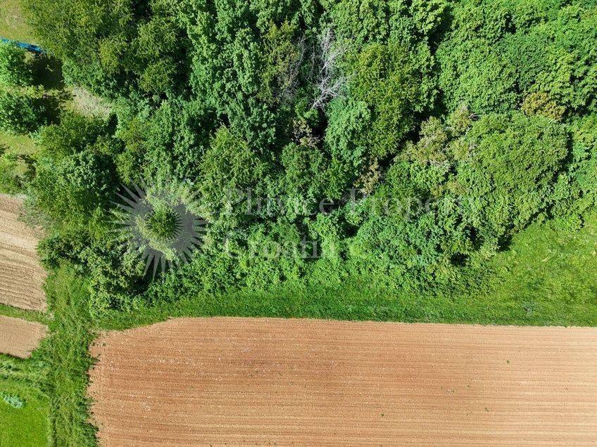 Poljoprivredno zemljište, Prodaja, Barilovići, Barilović