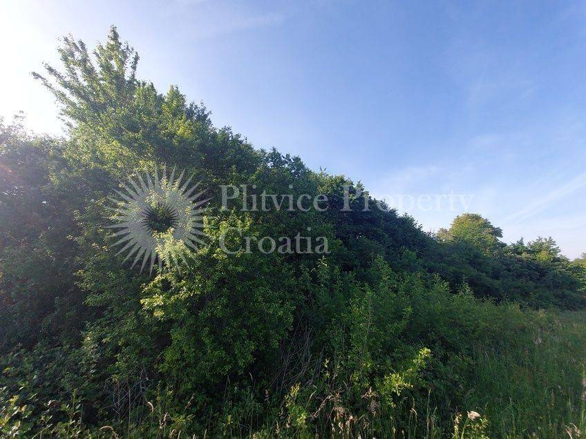 Poljoprivredno zemljište, Prodaja, Barilovići, Barilović