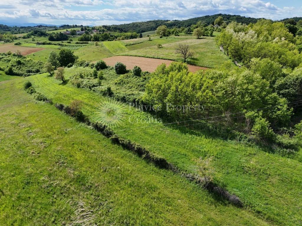 Poljoprivredno zemljište, Prodaja, Barilovići, Barilović