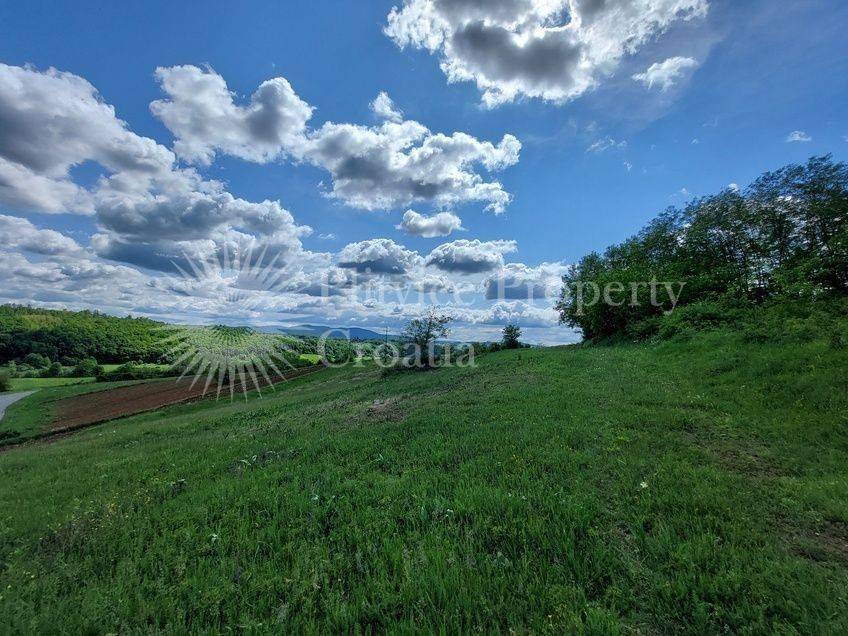 Poljoprivredno zemljište, Prodaja, Barilovići, Barilović