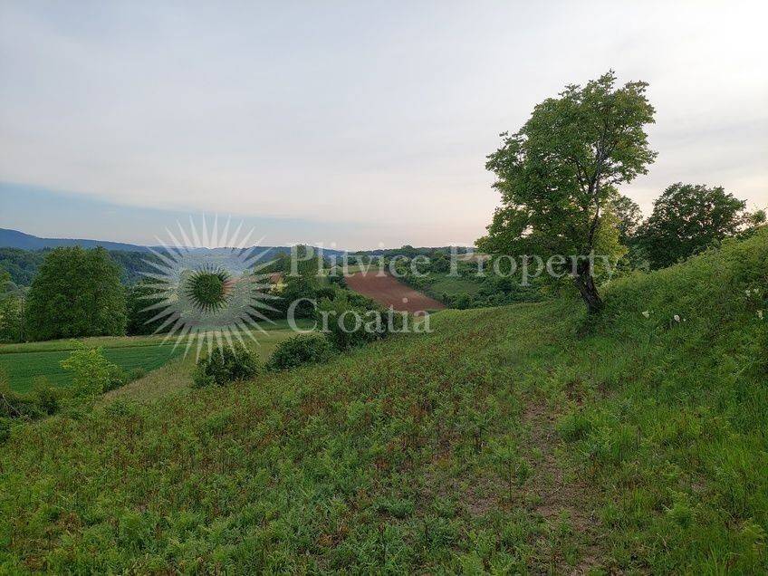 Poljoprivredno zemljište, Prodaja, Barilovići, Barilović