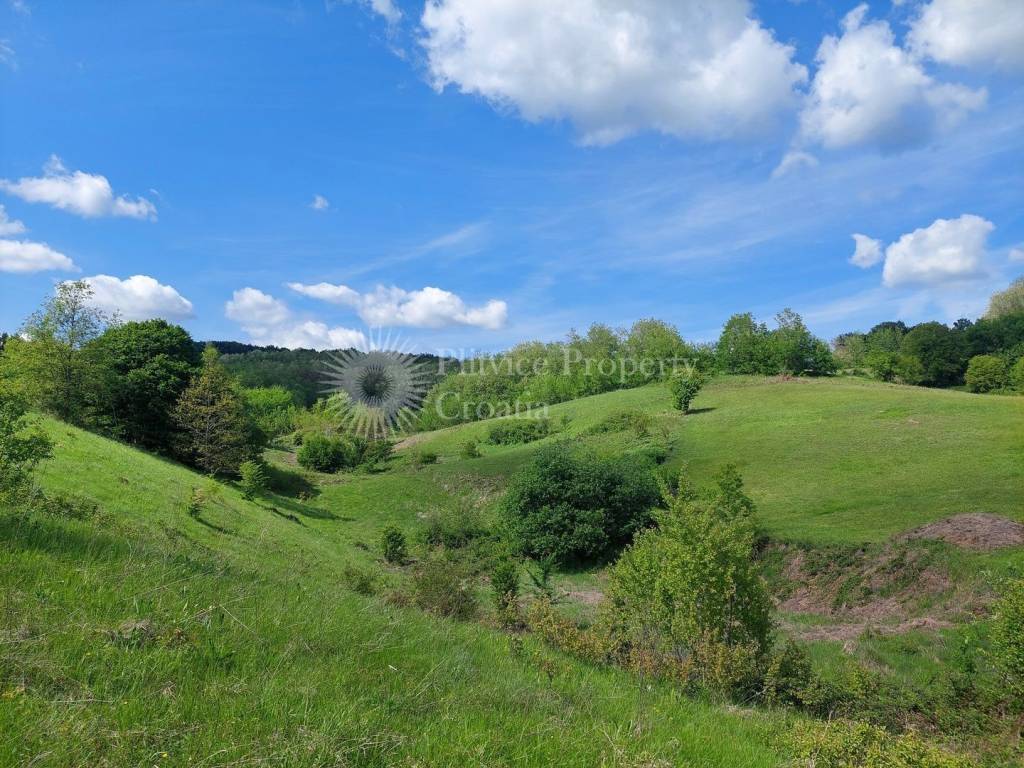 Poljoprivredno zemljište, Prodaja, Barilovići, Barilović