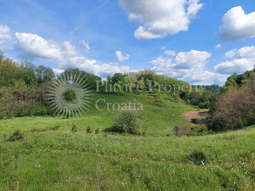 Poljoprivredno zemljište, Prodaja, Barilovići, Barilović