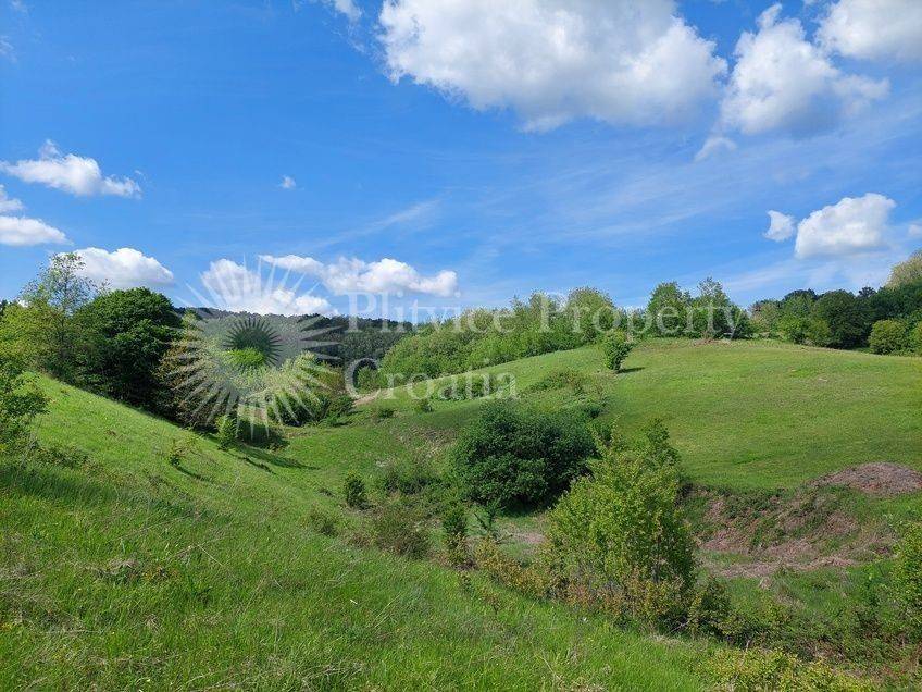 Poljoprivredno zemljište, Prodaja, Barilovići, Barilović