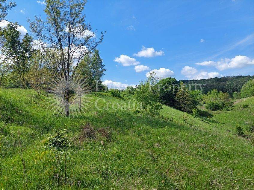 Poljoprivredno zemljište, Prodaja, Barilovići, Barilović