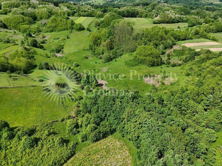 Poljoprivredno zemljište, Prodaja, Barilovići, Barilović