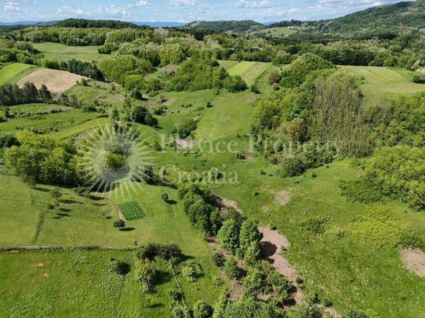 Poljoprivredno zemljište, Prodaja, Barilovići, Barilović
