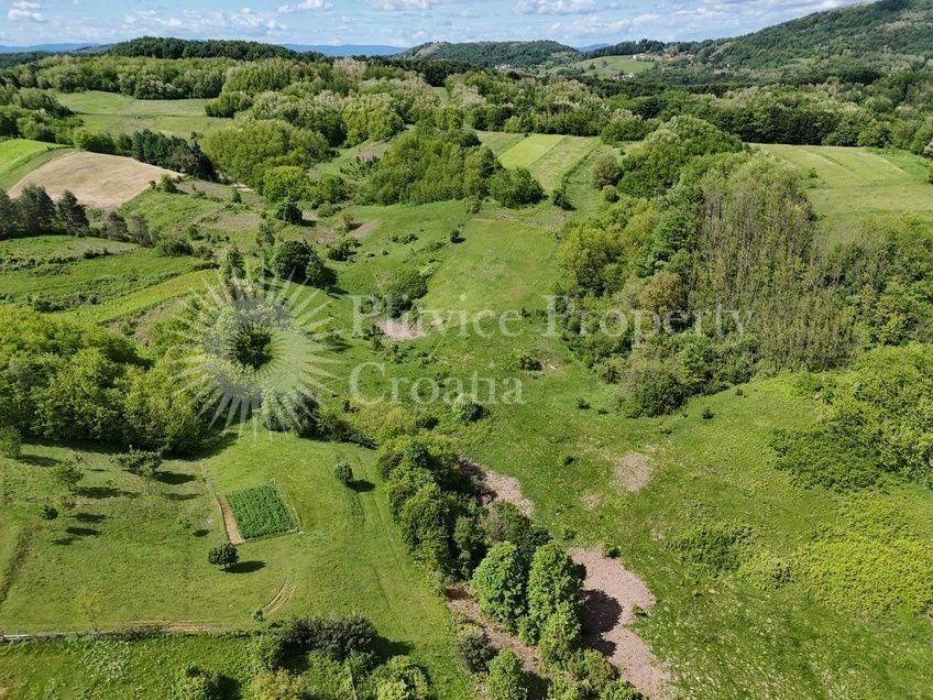 Poljoprivredno zemljište, Prodaja, Barilovići, Barilović