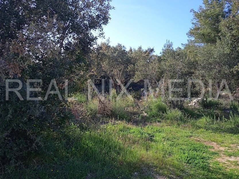 Građevinsko zemljište, Prodaja, Pašman, Pašman