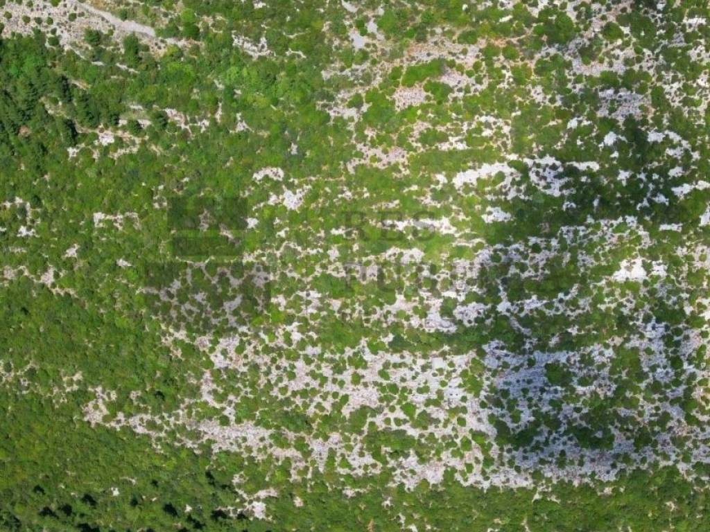 Poljoprivredno zemljište, Prodaja, Dubrovačko primorje, Majkovi