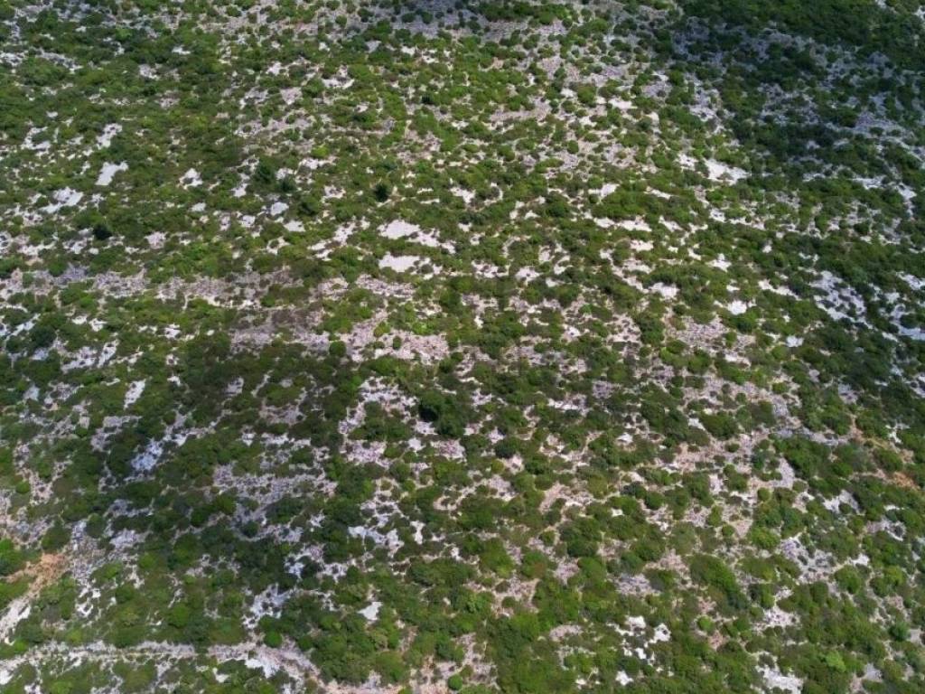 Poljoprivredno zemljište, Prodaja, Dubrovačko primorje, Majkovi
