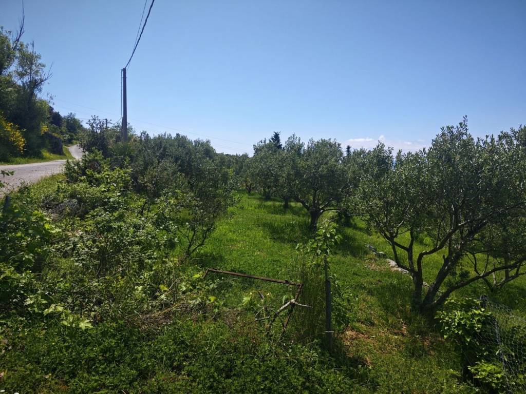 Građevinsko zemljište, Prodaja, Dubrovačko primorje, Majkovi