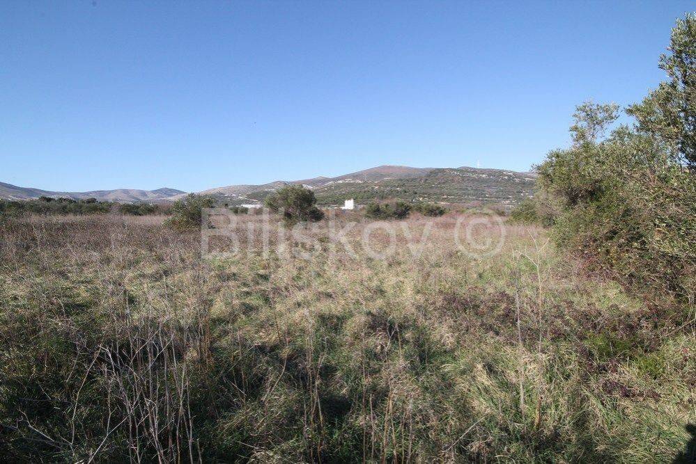 Poljoprivredno zemljište, Prodaja, Kaštela, Kaštel Štafilić