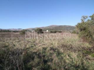 Poljoprivredno zemljište, Prodaja, Kaštela, Kaštel Štafilić