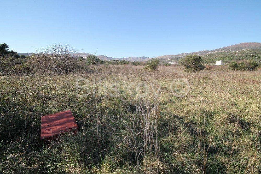 Poljoprivredno zemljište, Prodaja, Kaštela, Kaštel Štafilić